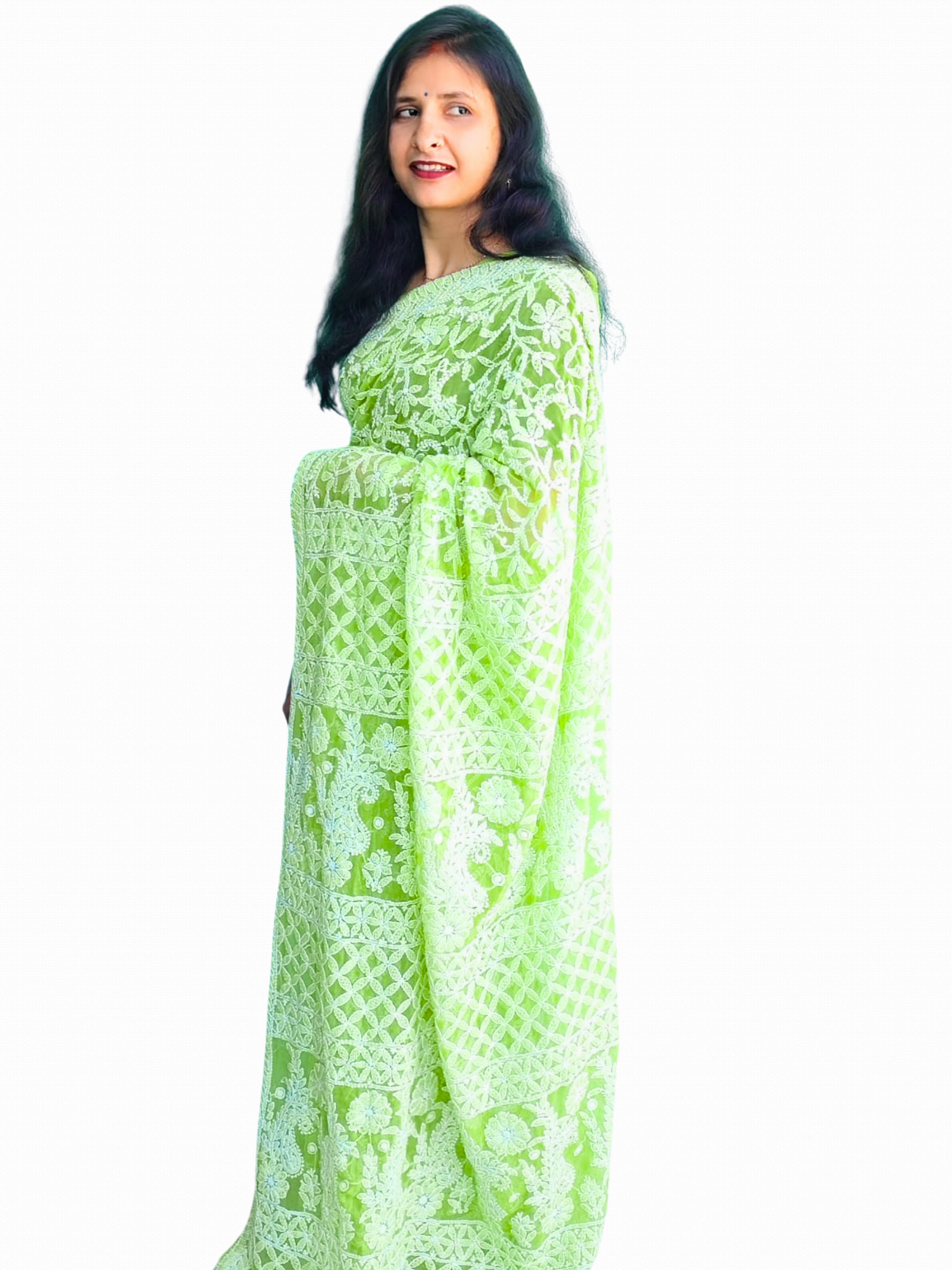 KURTIVERSE Chikan Hand Embroidered Georgette Saree with Blouse